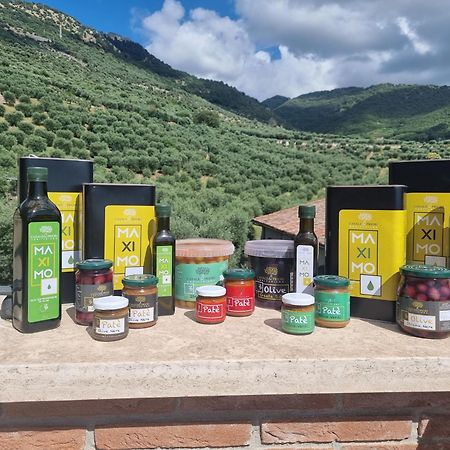 Casale Dei Priori Bed & Breakfast Rocca Massima Dış mekan fotoğraf