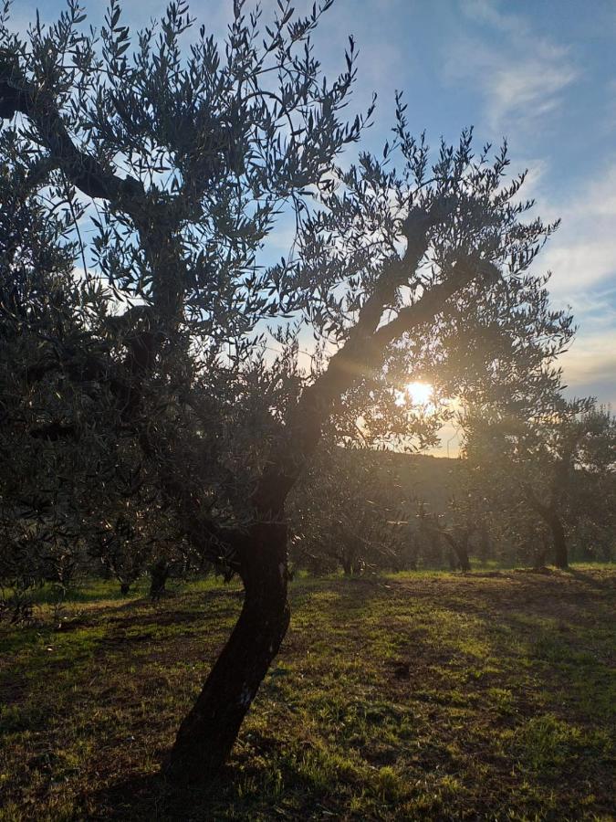 Casale Dei Priori Bed & Breakfast Rocca Massima Dış mekan fotoğraf