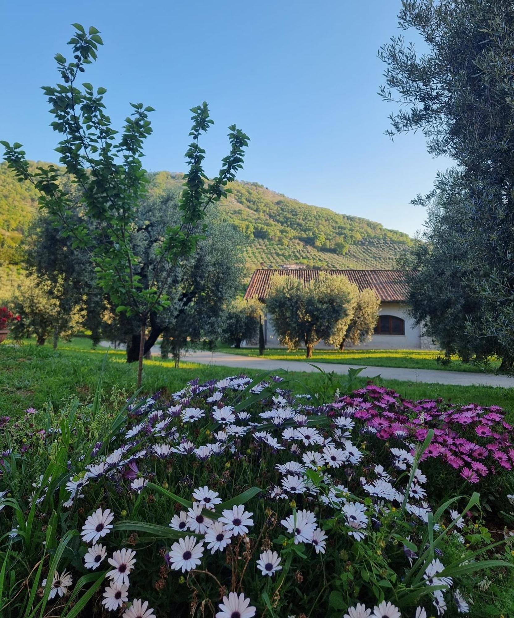 Casale Dei Priori Bed & Breakfast Rocca Massima Dış mekan fotoğraf